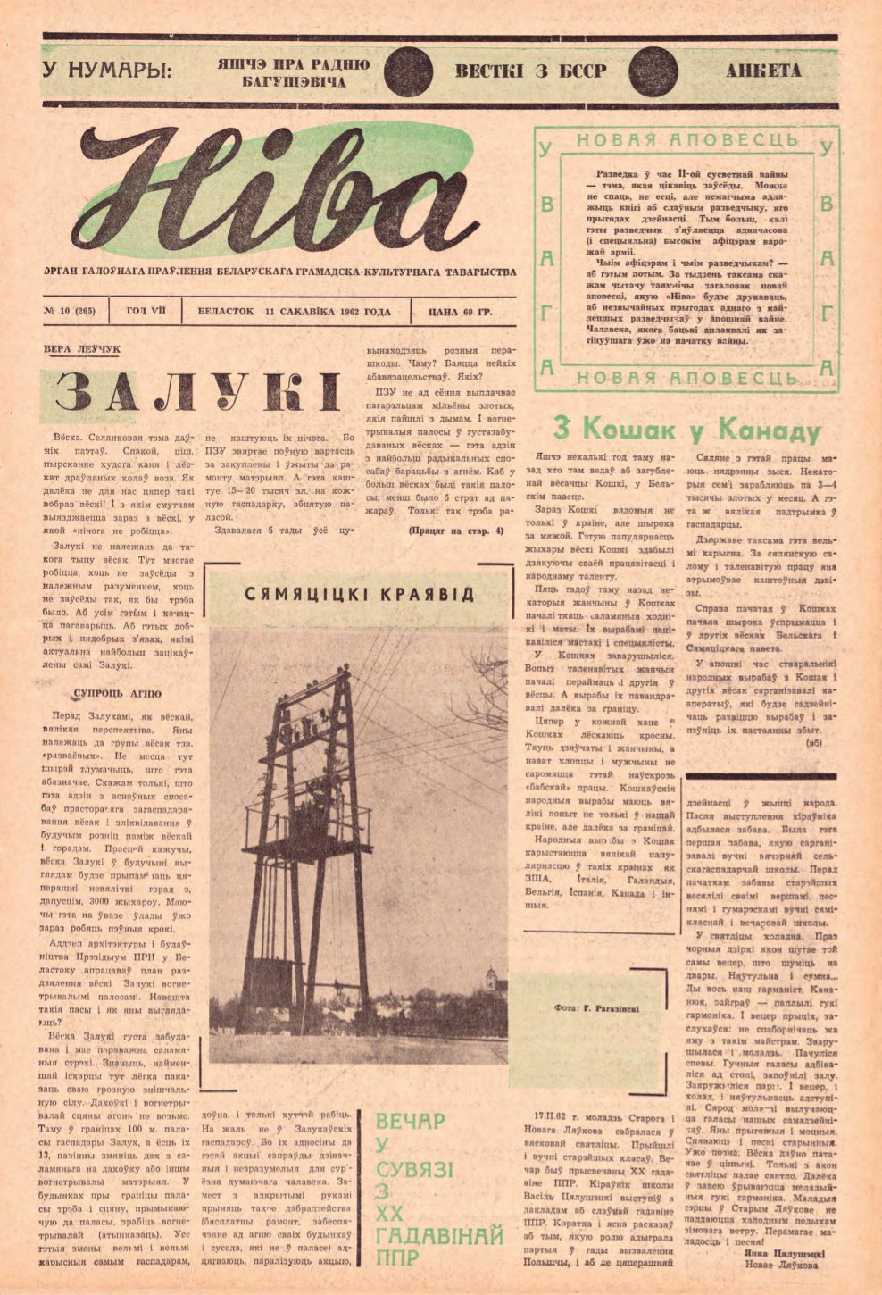 Ніва 10 (265) 1962