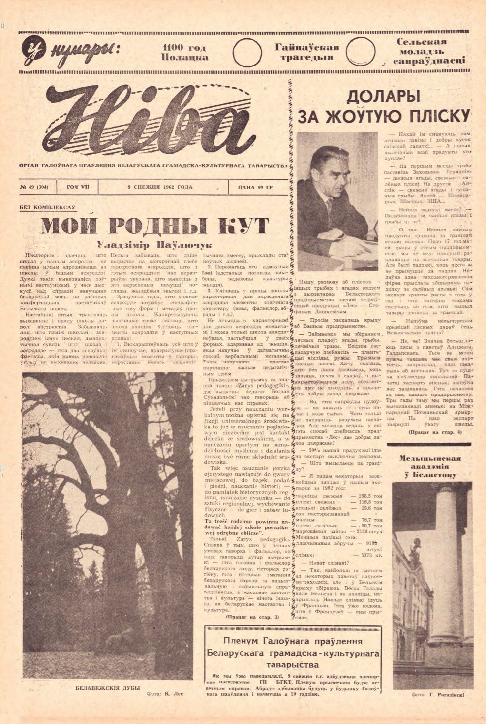 Ніва 49 (304) 1962