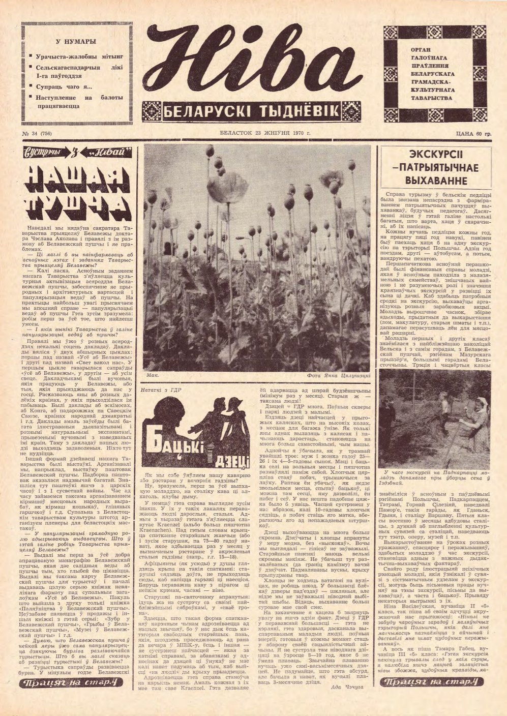 Ніва 34 (756) 1970