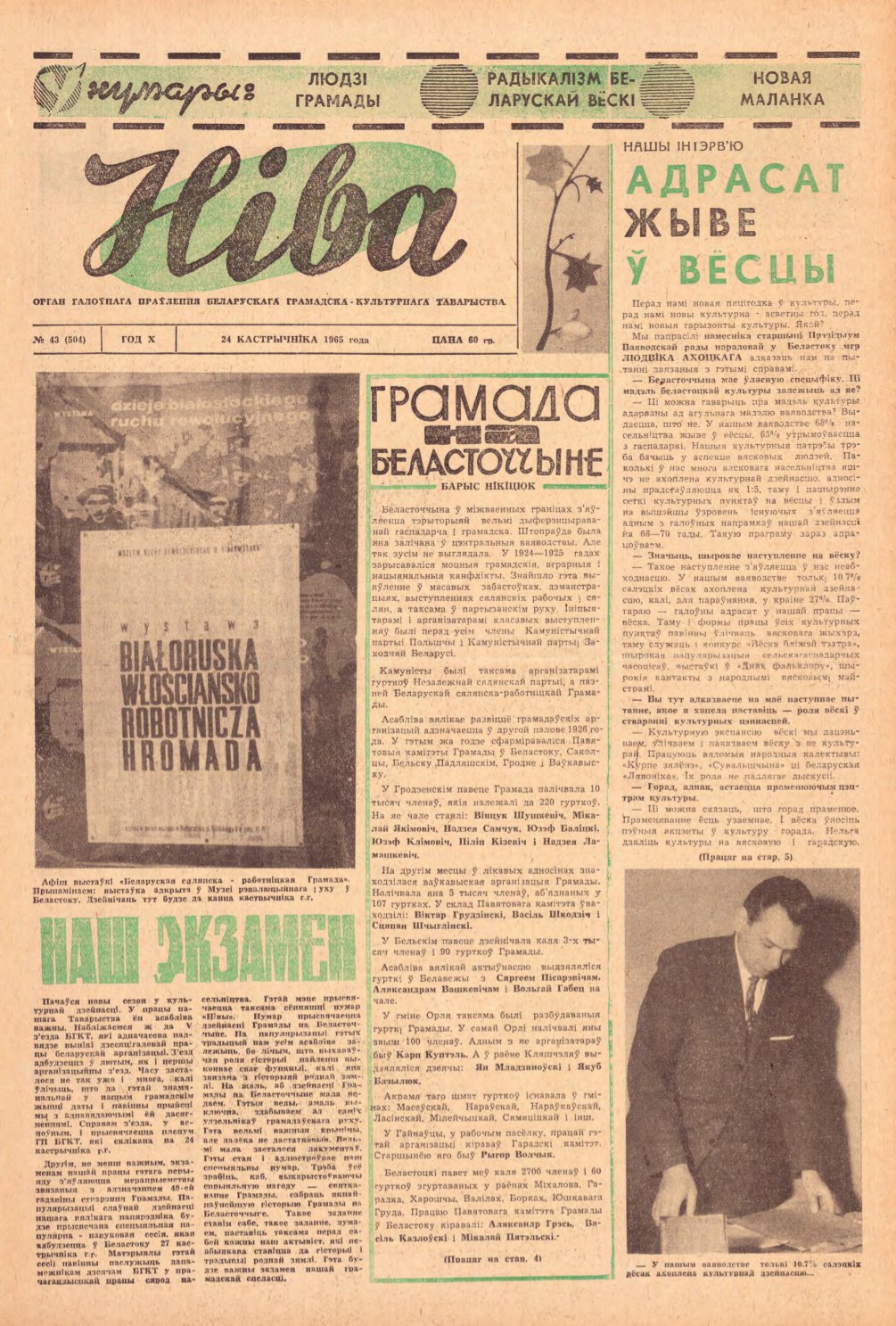 Ніва 43 (504) 1965