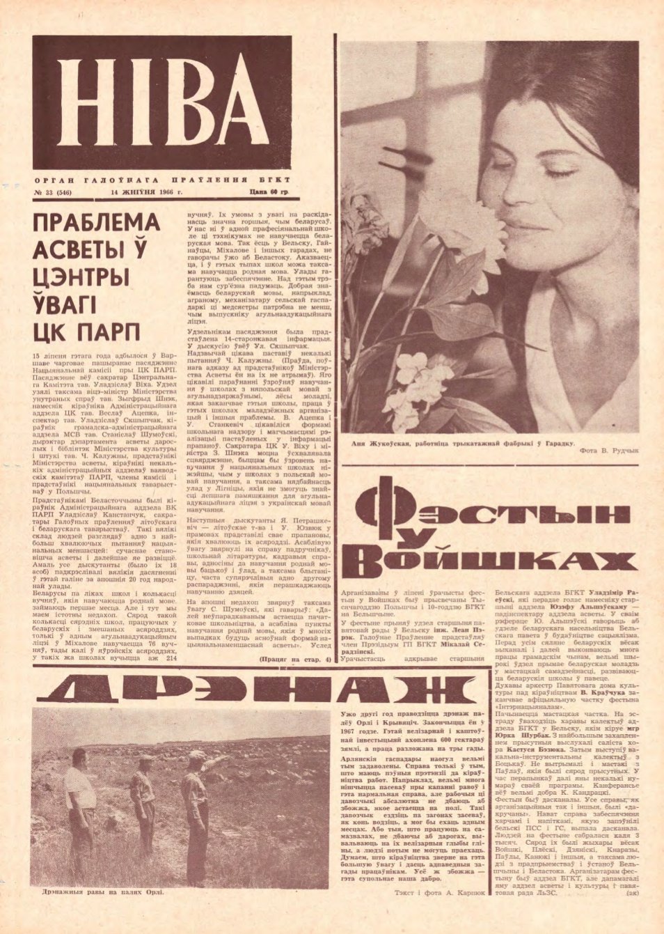 Ніва 33 (546) 1966