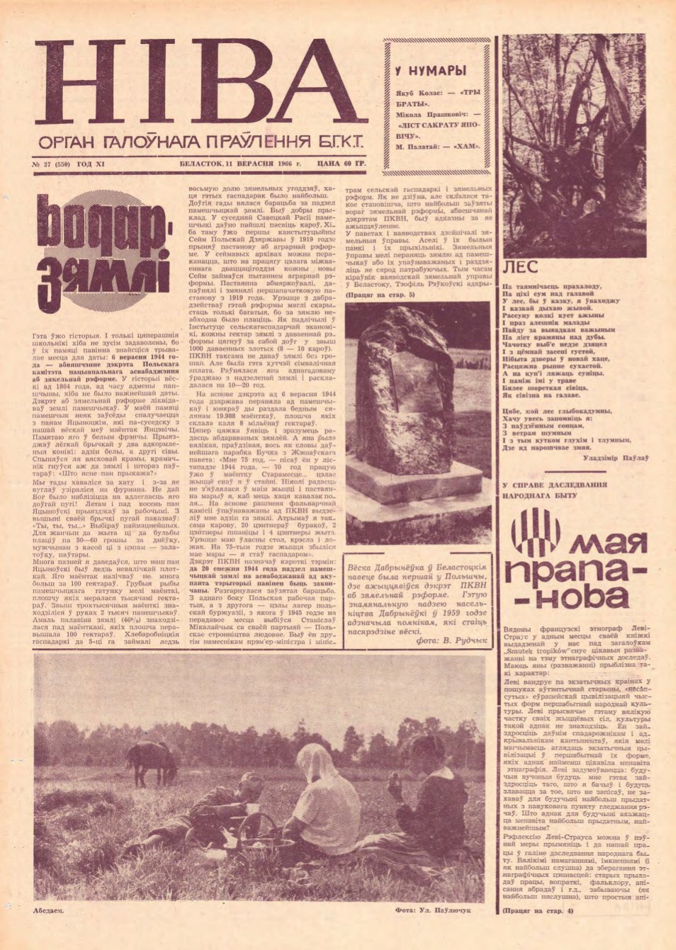 Ніва 37 (550) 1966