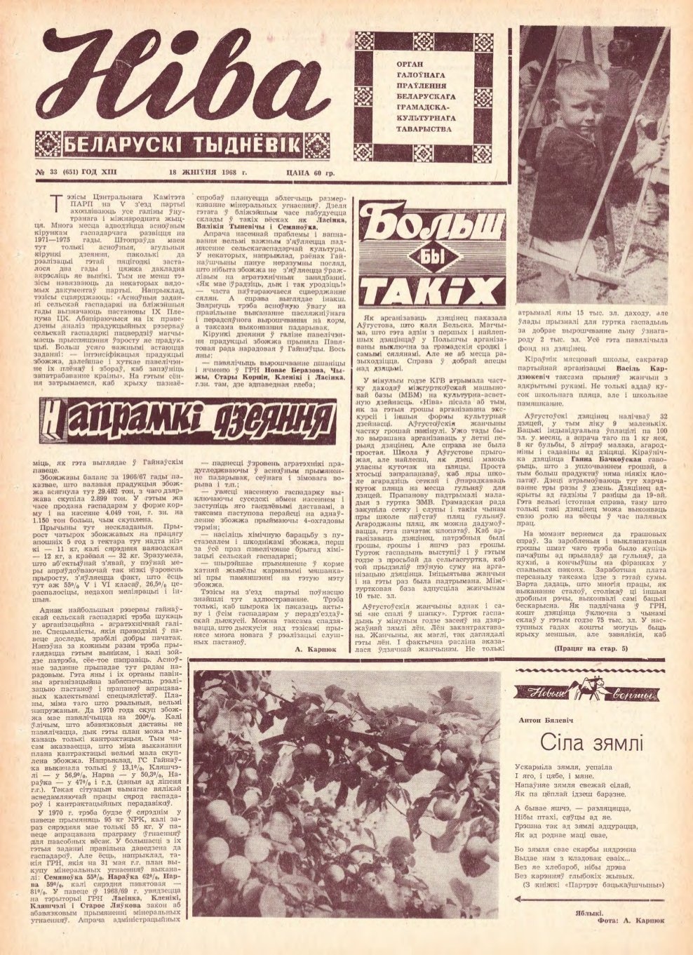 Ніва 33 (651) 1968