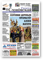 Газета Слонімская, 43 (959) 2015