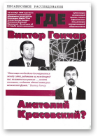 Волчек Олег, Михайловская Раиса - авторы-составители, Независимое расследование
