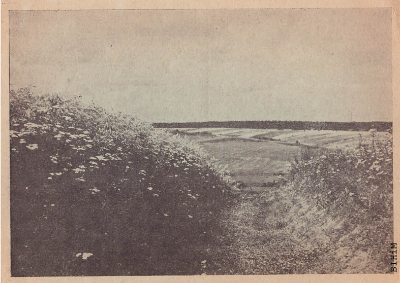 Паштоўка "Наваградчына"