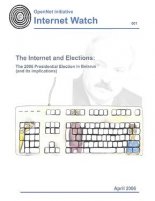 The Internet and elections
