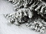 Пад знакам Пагоні 05.01.2017