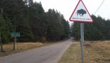 Пад знакам Пагоні 09.03.2017