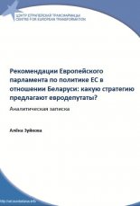 Рекомендации Европейского парламента по политике ЕС в отношении Беларуси: какую стратегию предлагают евродепутаты?