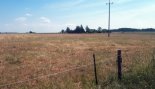 Пад знакам Пагоні 11.07.2018