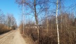 Пад знакам Пагоні 05.01.2020