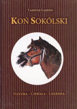 Koń Sokólski