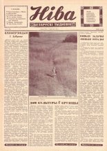 Ніва 31 (753) 1970