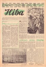 Ніва 13 (526) 1966