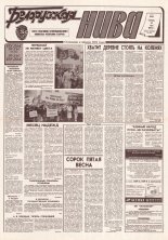 Белорусская нива 78 (15362) 1994